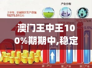 澳门王中王100%期期中,稳定执行计划_WP8.351