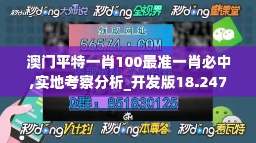 澳门平特一肖100最准一肖必中,实地考察分析_开发版18.247