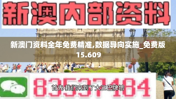 新澳门资料全年免费精准,数据导向实施_免费版15.609