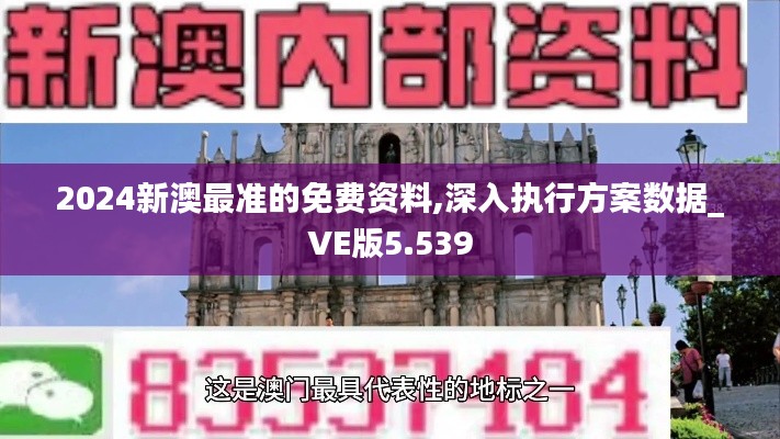 2024新澳最准的免费资料,深入执行方案数据_VE版5.539