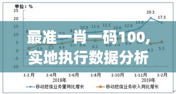 最准一肖一码100,实地执行数据分析_AR9.102