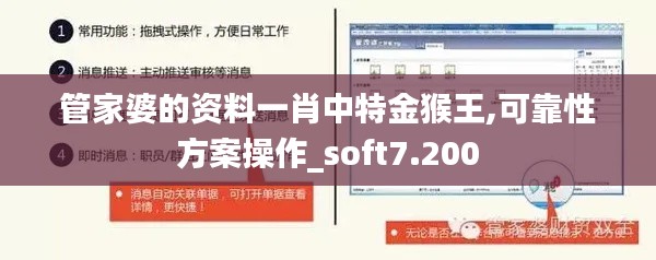 管家婆的资料一肖中特金猴王,可靠性方案操作_soft7.200