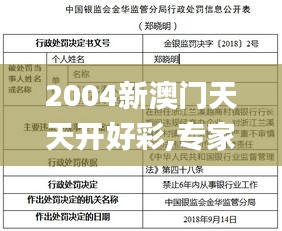 2004新澳门天天开好彩,专家解答解释定义_XT10.213