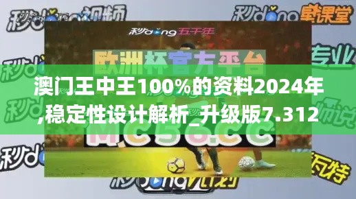 澳门王中王100%的资料2024年,稳定性设计解析_升级版7.312