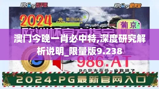 澳门今晚一肖必中特,深度研究解析说明_限量版9.238