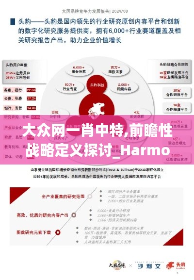 大众网一肖中特,前瞻性战略定义探讨_HarmonyOS8.687