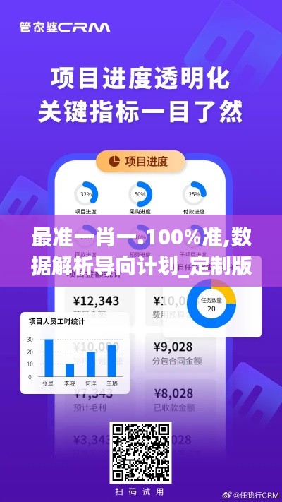 最准一肖一.100%准,数据解析导向计划_定制版9.186