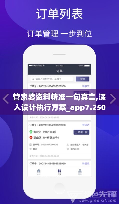 管家婆资料精准一句真言,深入设计执行方案_app7.250