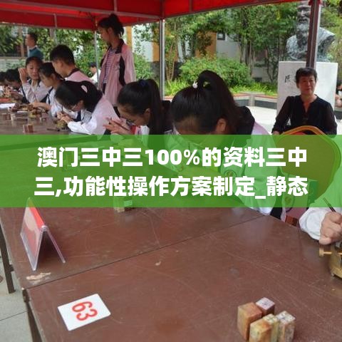 澳门三中三100%的资料三中三,功能性操作方案制定_静态版9.604