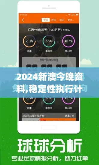 2024新澳今晚资料,稳定性执行计划_Galaxy7.251