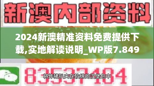 2024新澳精准资料免费提供下载,实地解读说明_WP版7.849