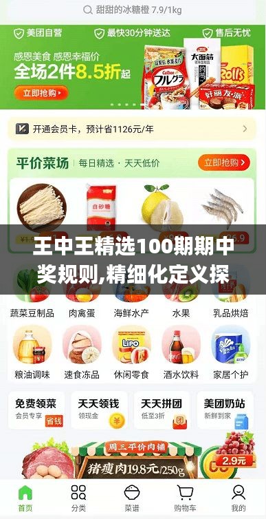 王中王精选100期期中奖规则,精细化定义探讨_挑战版6.529