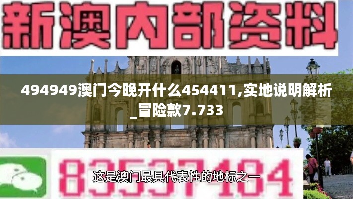 494949澳门今晚开什么454411,实地说明解析_冒险款7.733