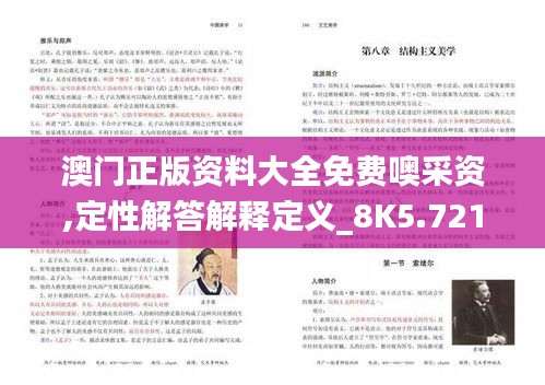 澳门正版资料大全免费噢采资,定性解答解释定义_8K5.721