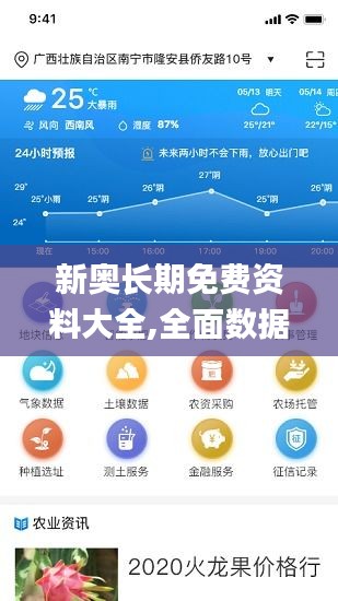 新奥长期免费资料大全,全面数据解析执行_app9.738