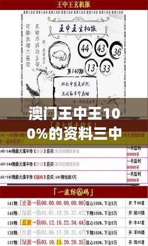 澳门王中王100%的资料三中三,可靠评估说明_静态版9.945