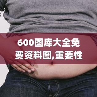 600图库大全免费资料图,重要性解释定义方法_P版10.523