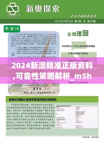 2024新澳精准正版资料,可靠性策略解析_mShop6.478