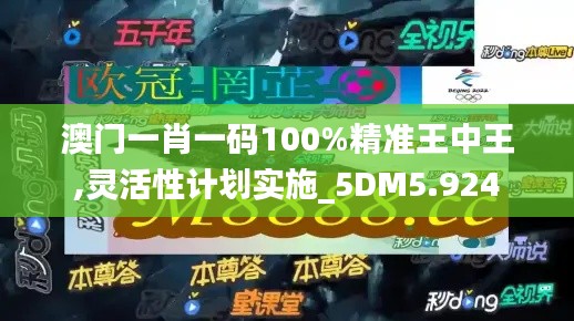 澳门一肖一码100%精准王中王,灵活性计划实施_5DM5.924