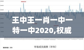 王中王一肖一中一特一中2020,权威解析说明_苹果款3.752