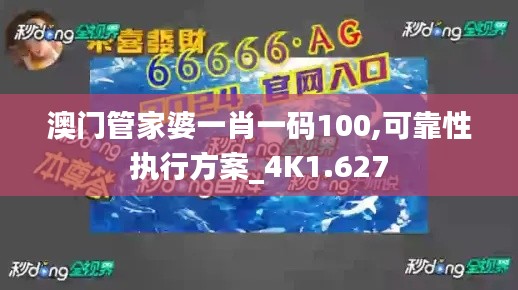 2024年12月13日 第33页