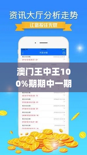 澳门王中王100%期期中一期,实地分析数据执行_XE版4.922