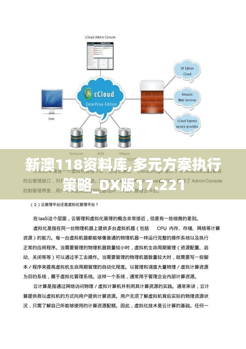 新澳118资料库,多元方案执行策略_DX版17.221