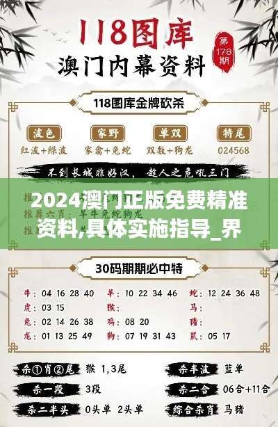 2024澳门正版免费精准资料,具体实施指导_界面版2.966