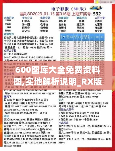 600图库大全免费资料图,实地解析说明_RX版4.531