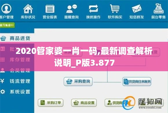 2020管家婆一肖一码,最新调查解析说明_P版3.877