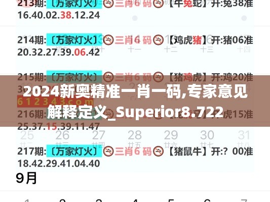 2024新奥精准一肖一码,专家意见解释定义_Superior8.722