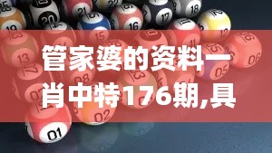 管家婆的资料一肖中特176期,具体操作指导_MP10.208