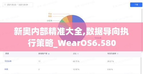 新奥内部精准大全,数据导向执行策略_WearOS6.580