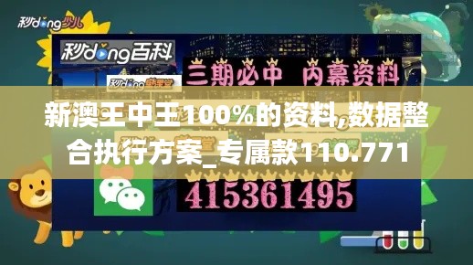 新澳王中王100%的资料,数据整合执行方案_专属款110.771