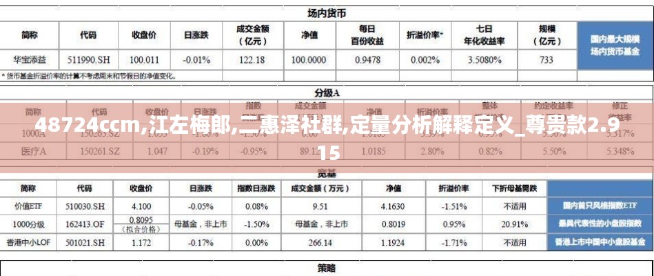 48724ccm,江左梅郎,二惠泽社群,定量分析解释定义_尊贵款2.915