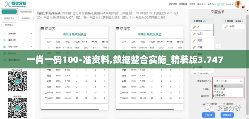 一肖一码100-准资料,数据整合实施_精装版3.747