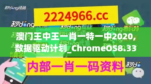 澳门王中王一肖一特一中2020,数据驱动计划_ChromeOS8.331