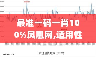 最准一码一肖100%凤凰网,适用性执行方案_R版7.462