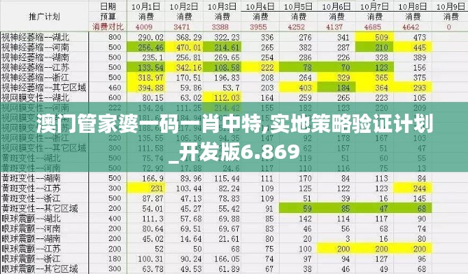 澳门管家婆一码一肖中特,实地策略验证计划_开发版6.869