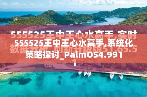 555525王中王心水高手,系统化策略探讨_PalmOS4.991