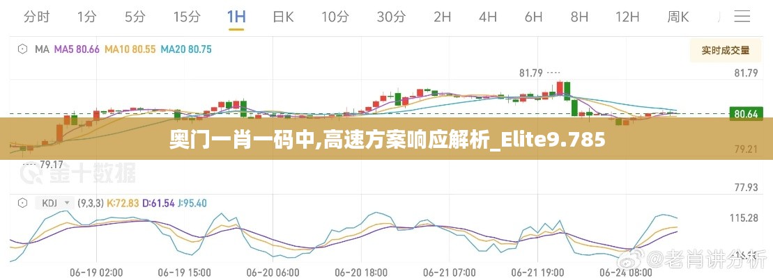 奥门一肖一码中,高速方案响应解析_Elite9.785