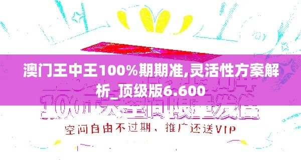 澳门王中王100%期期准,灵活性方案解析_顶级版6.600