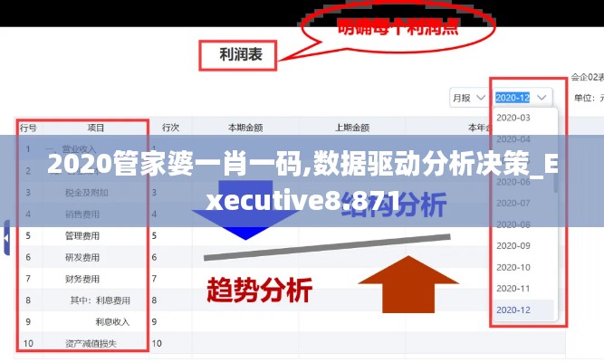 2020管家婆一肖一码,数据驱动分析决策_Executive8.871
