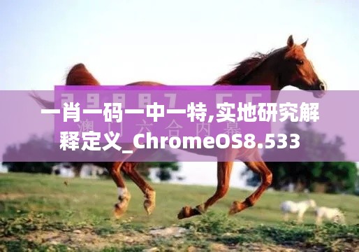 一肖一码一中一特,实地研究解释定义_ChromeOS8.533