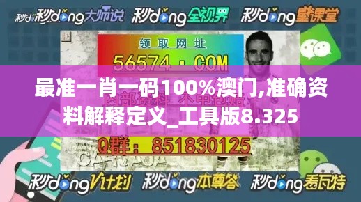 最准一肖一码100%澳门,准确资料解释定义_工具版8.325