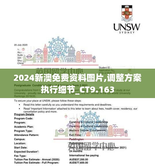 2024新澳免费资料图片,调整方案执行细节_CT9.163