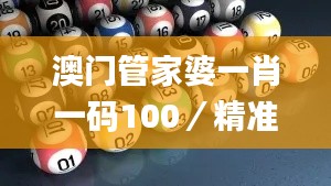 澳门管家婆一肖一码100／精准,深入执行方案数据_复刻款7.193