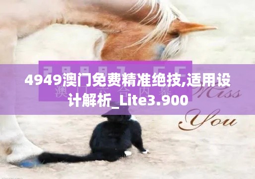 4949澳门免费精准绝技,适用设计解析_Lite3.900