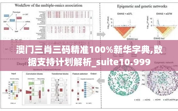 澳门三肖三码精准100%新华字典,数据支持计划解析_suite10.999