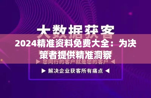 2024精准资料免费大全：为决策者提供精准洞察